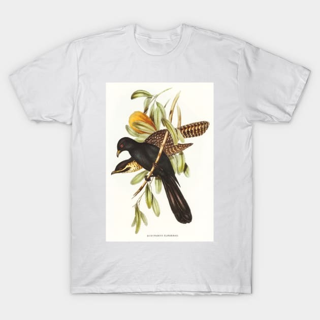 Flinder's Cuckoo T-Shirt by WAITE-SMITH VINTAGE ART